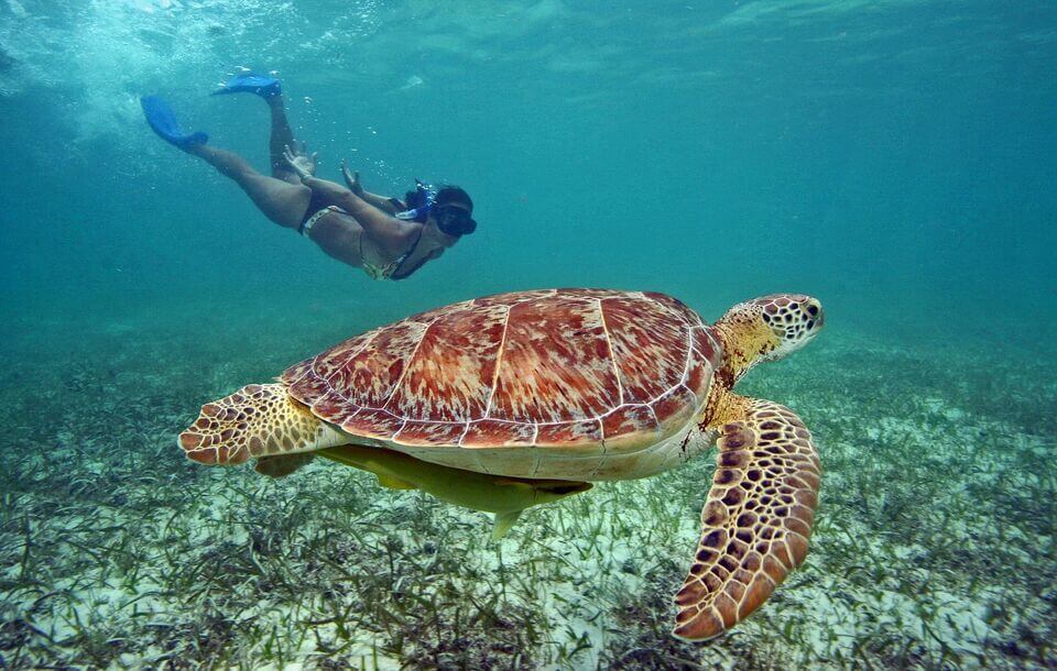 gili islands tour package with snorkeling from bali